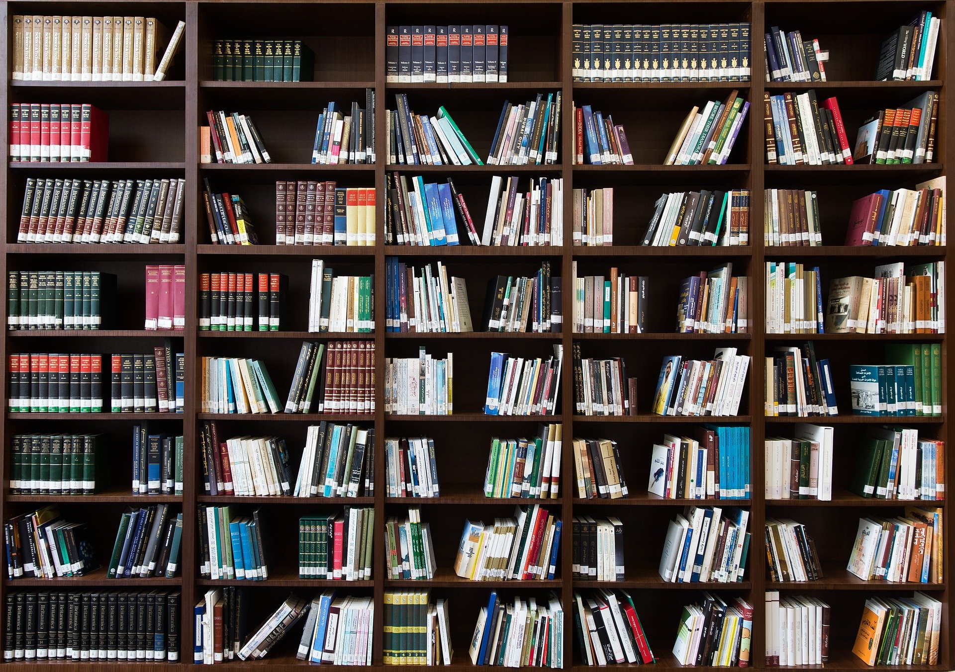 Bücherregal